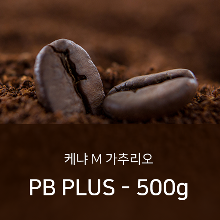 싱글오리진 커피 원두 케냐 M 가추리오 PB PLUS - 500g